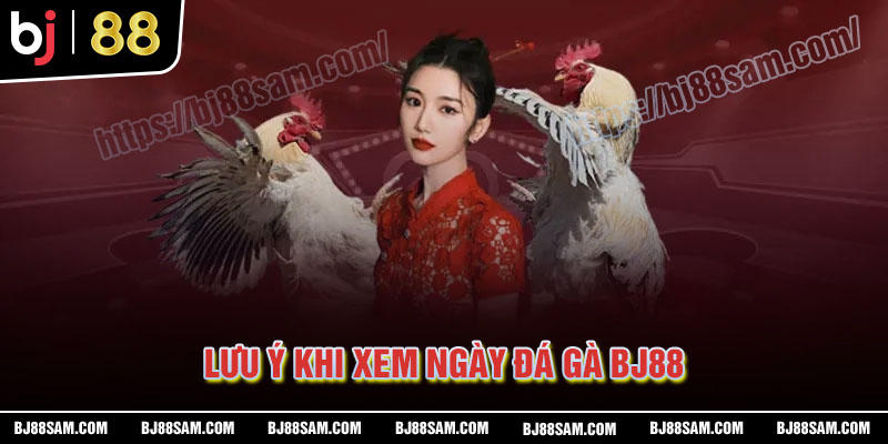 Những lưu ý khi xem ngày đá gà tại BJ88