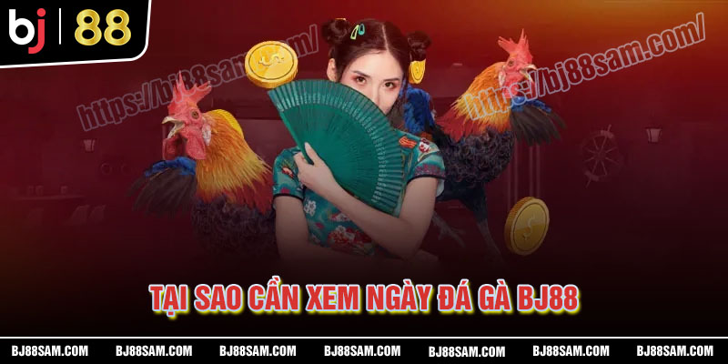 Tại sao cần xem ngày đá gà BJ88